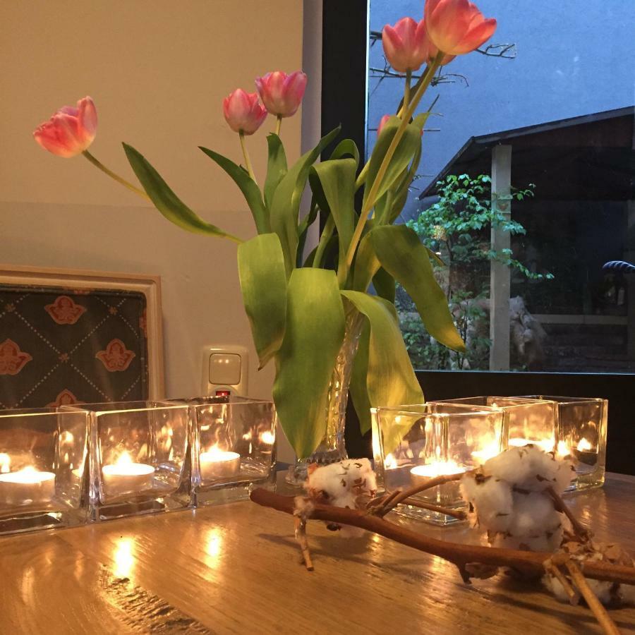 Artagnan Bed & Breakfast Maastricht Dış mekan fotoğraf